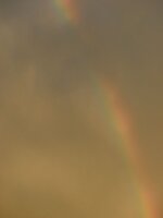 rainbow 1.jpg