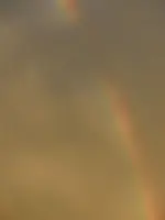 rainbow 1.webp