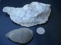 DSCN0966.webp