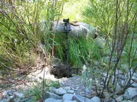 196_9639.webp 196_9639.webp