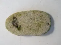 river stone 2.webp