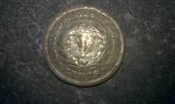 coin.webp