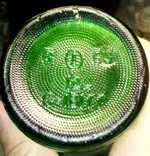 Well Hunt Squirt Bottle Bottom.webp