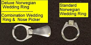 NorskRings.webp