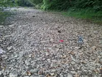 stone river bed.webp