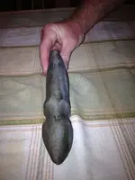 image-643683289.webp