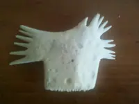 bones.webp