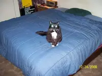 100_0449.webp