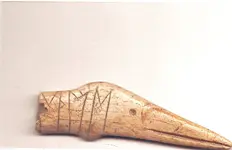 sc00564ed1.webp sc00564ed1.webp