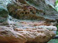 3633_10151054726257376_1304472200_n.webp