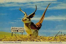 2_Jackalope_Flying_PC_2.webp