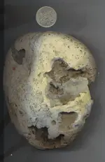 dinoeggSCANNEDside2.webp