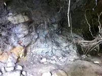 image-3870231392.webp