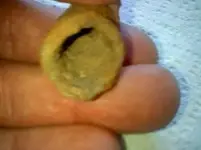 0313121318 pipe 3small.webp