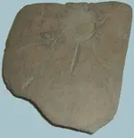 2-5-07 013.webp