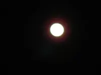 DSC00087.webp