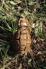 hand grenade.webp