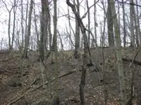 Barber Park 014.webp