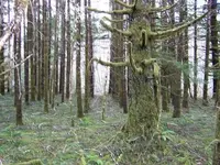 100_0213.webp