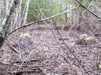100_0189.webp
