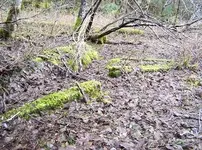 100_0185.webp