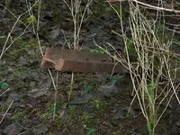 100_0187.webp 100_0187.webp