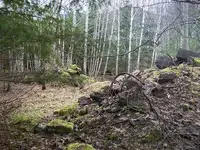 100_0210.webp 100_0210.webp