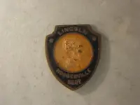 pin1.webp