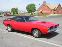 Bear\'s Cuda.webp
