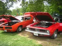 Bear\'s Cuda3.webp