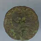eagle butt.webp
