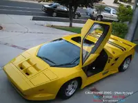 vector..webp