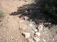 100_0427.webp