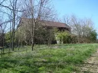 DSC02199.webp