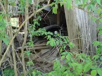 DSC02198.webp