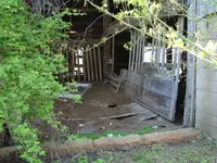 DSC02177.webp