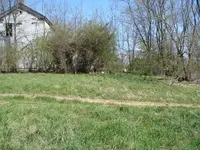 DSC02174.webp