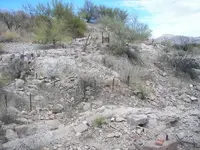 100_0480.webp