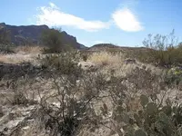 100_0495.webp