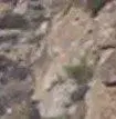 100_0580.webp