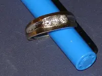 Ring 3.webp