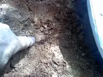 insitugold3.webp