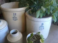 Photo0325.webp