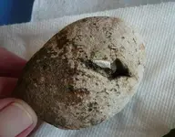 strange round rock.webp