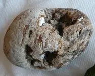strange round rock (2).webp