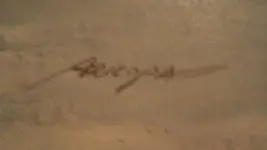 386966_10151073048604411_1758719639_n.webp