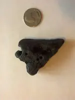 1345579730190.webp 1345579730190.webp