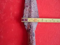 DSC00080.webp