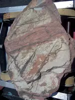 IMG_20120711_140547.webp