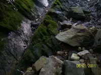 100_6194.webp